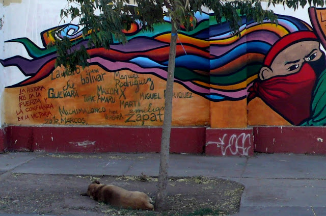 street art in santiago de chile arte callejero educación