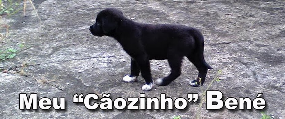 MEU CAOZINHO BENÉ