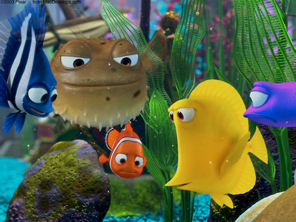 finding nemo fish tank setup finding nemo fish tank setup