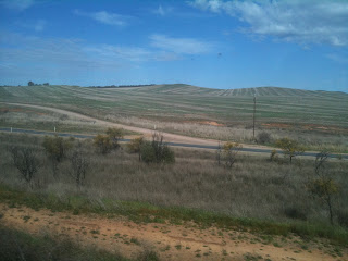 a field of grass and trees