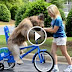 Το έχετε δει αυτό; Ο σκύλος που μαθαίνει ποδήλατο.  Απίθανο...