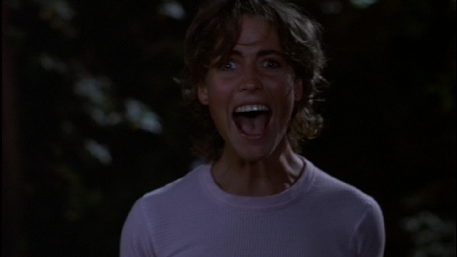 Amazoncom: Friday the 13th - Part II: Amy Steel, John
