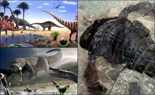 10 Kemusnahan Besar yang pernah Terjadi di Planet Bumi 10 Kemusnahan Besar yang pernah Terjadi di Planet Bumi