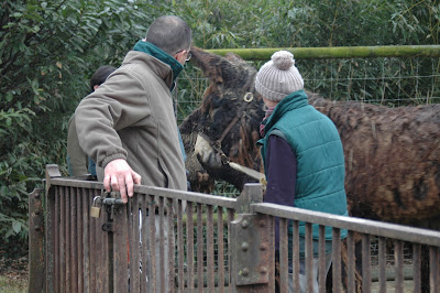rencontre avec les soigneurs de la ménagerie