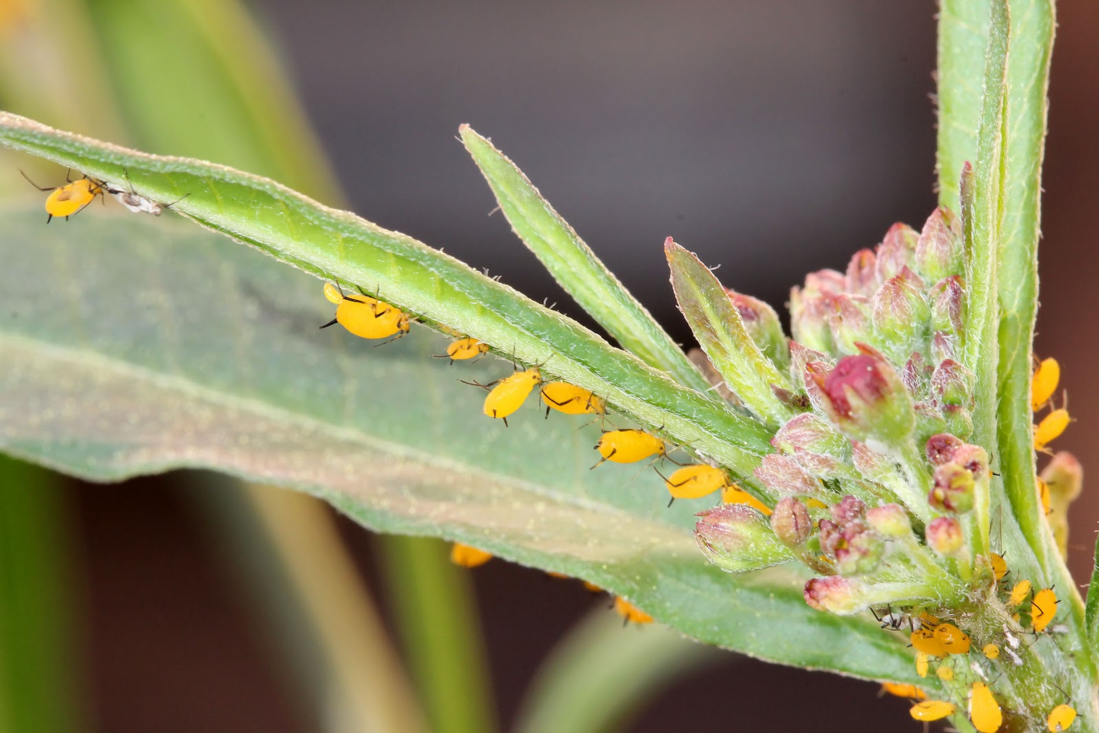 Nature�s Archive Blog October 2011