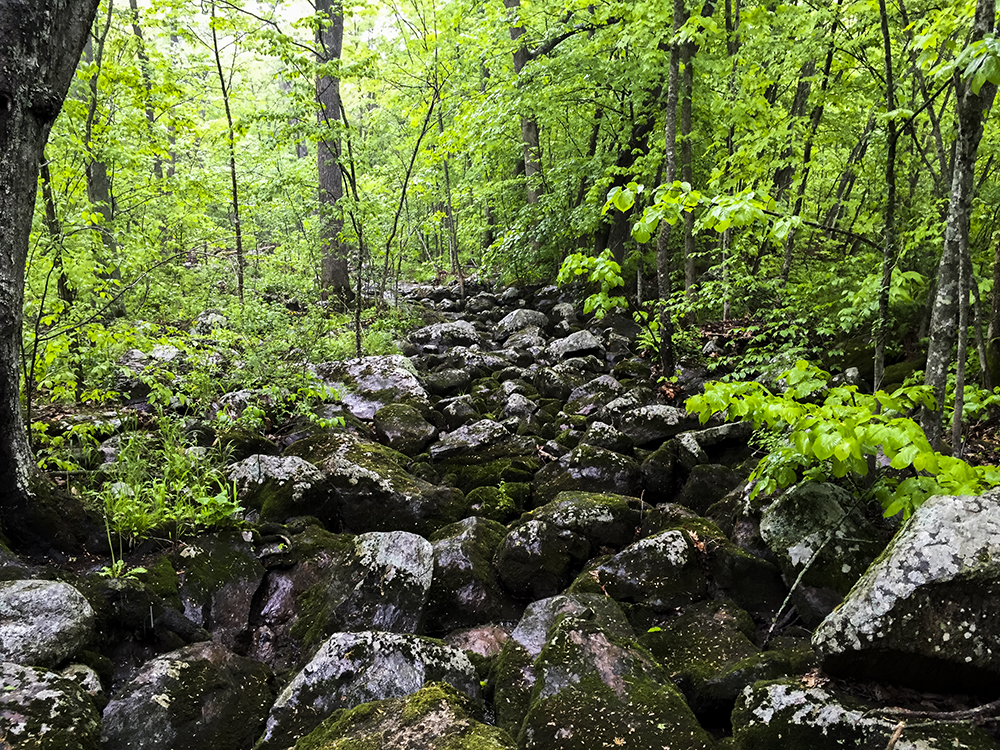 Wisconsin Explorer Hiking Baxter Hollow North Freedom WI