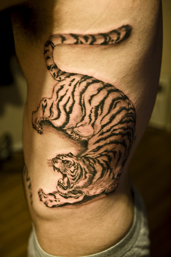 tiger tattoo designs rib tattoos men