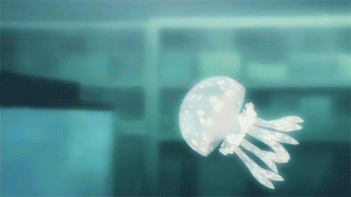 Rsultats de recherche dimages pour jellyfish anime