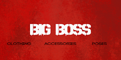 ::BIG BOSS::