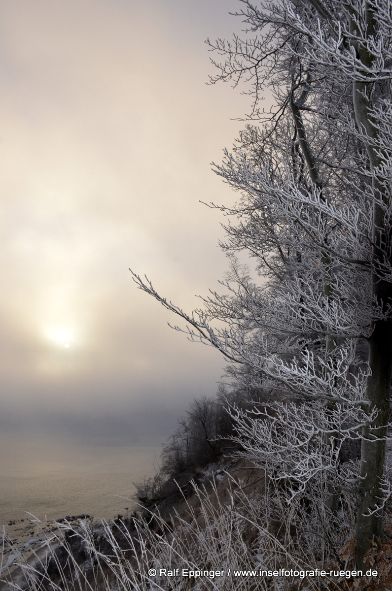 Insel Rugen Heike Trautmann Fotografie