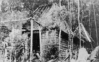 Poison Apple The Mount Matang Hindu Temple Lost In Time And Revived Again