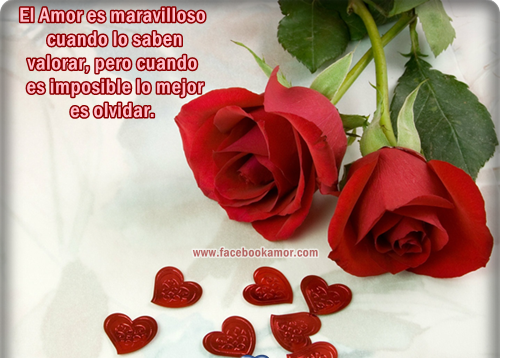 mensajes bonitos: Mensajes de amor con flores para compartir