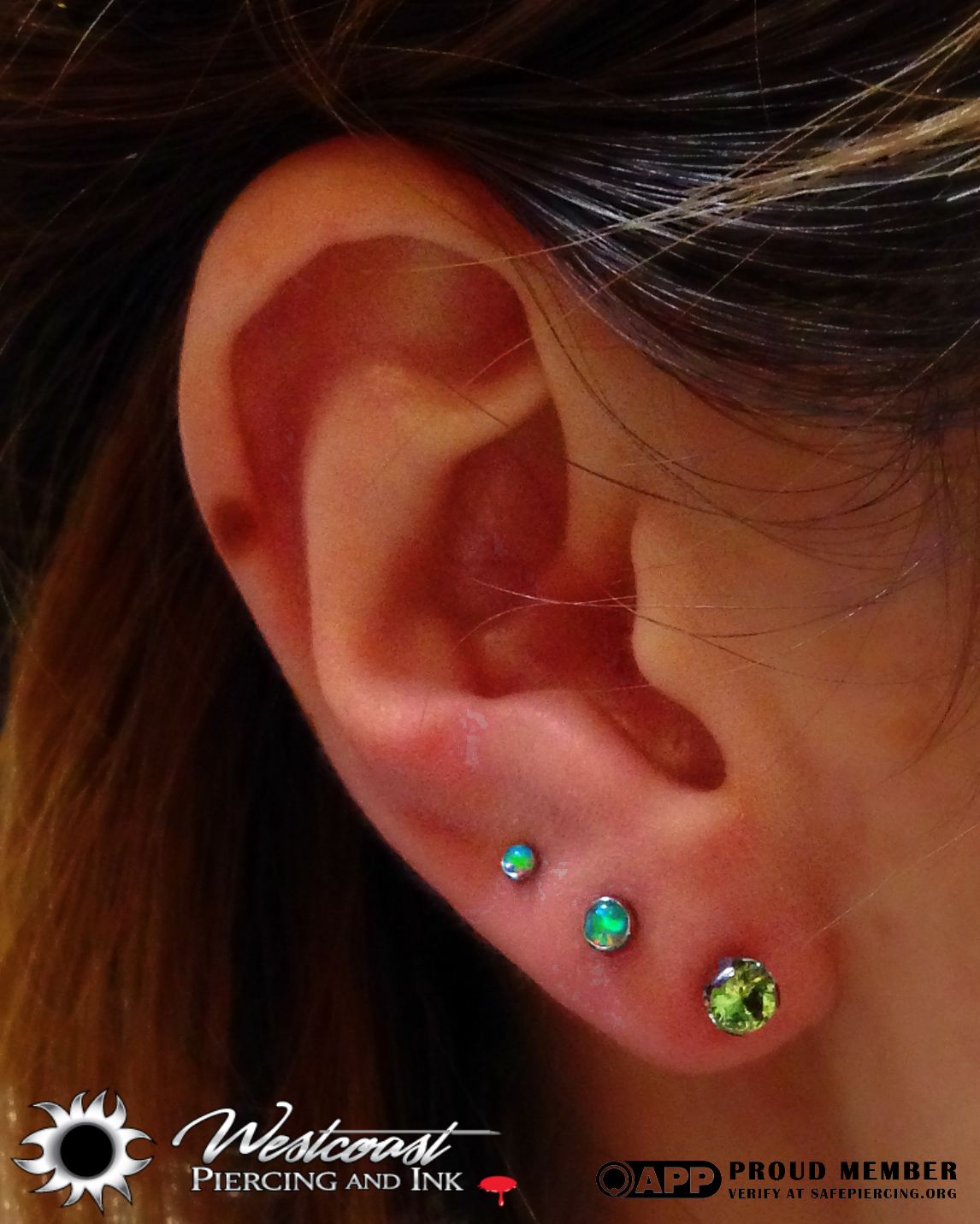 Westcoast Piercing And Ink Two upper lobe piercings were done with