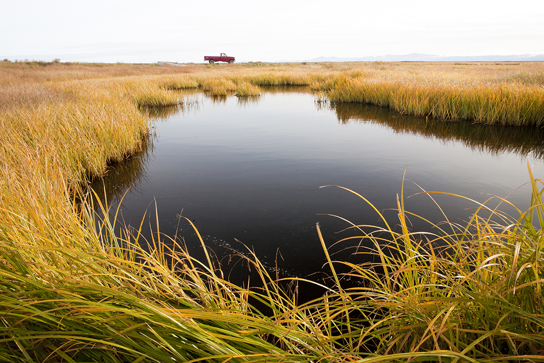 Capturing Alaska And Beyond! Quinhagak, Alaska