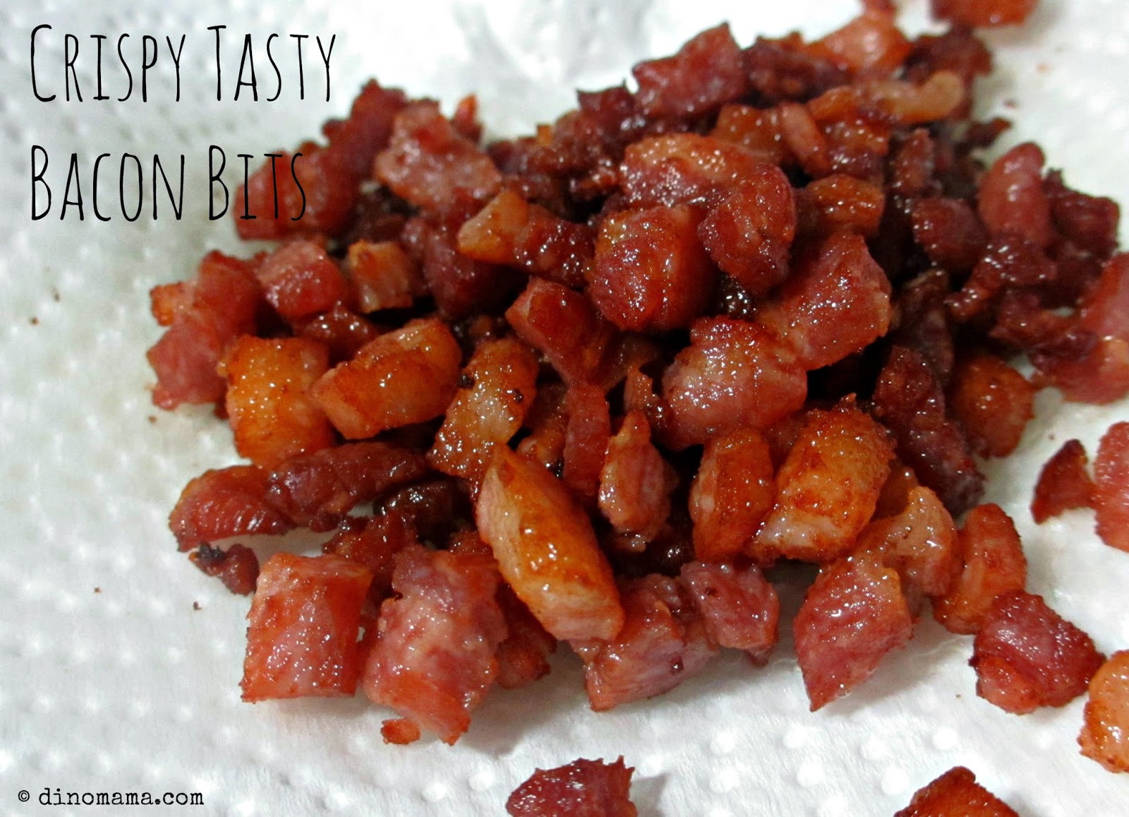Foodie Fridays Homemade Crispy Bacon Bits We are the DinoFamily