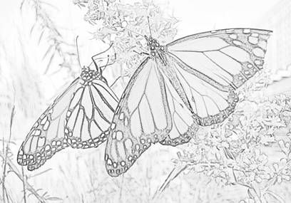 www.syarat ilmu.com: Membuat efek Sketch Pensil di Photoshop