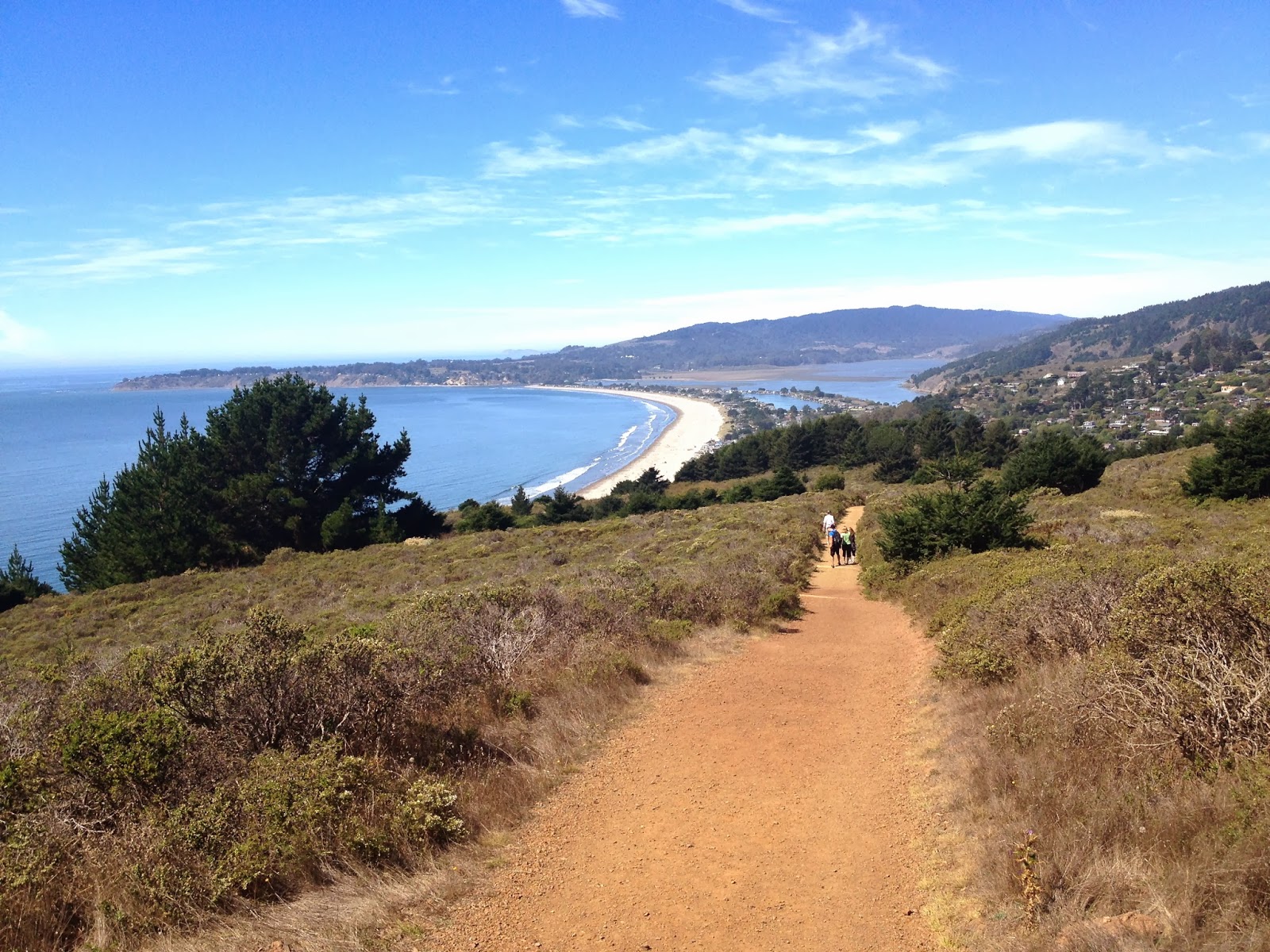 muir woods hiking the dipsea trail to stinson beach WellTraveled Wife