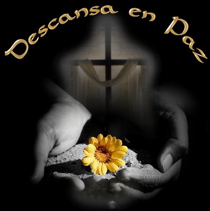 Ver las imágenes de origen