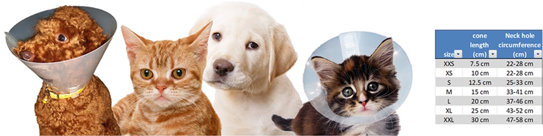 Veterinary medical Elizabethan cone collar for dogs 30cm e-collar