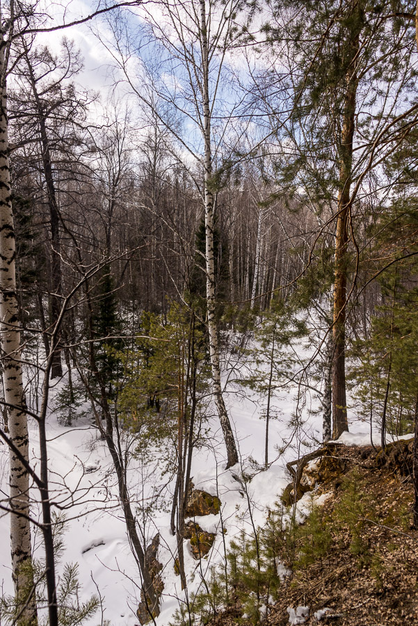 Маленький кружок