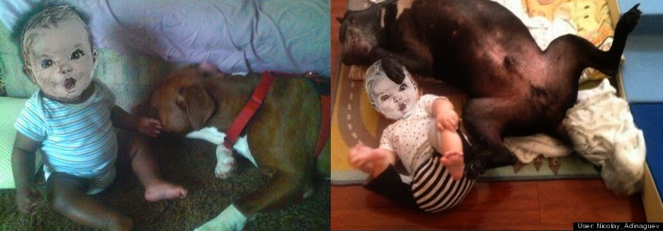 craven desires pit bull and children photos can t prove pit bulls are safe or owners are sane
