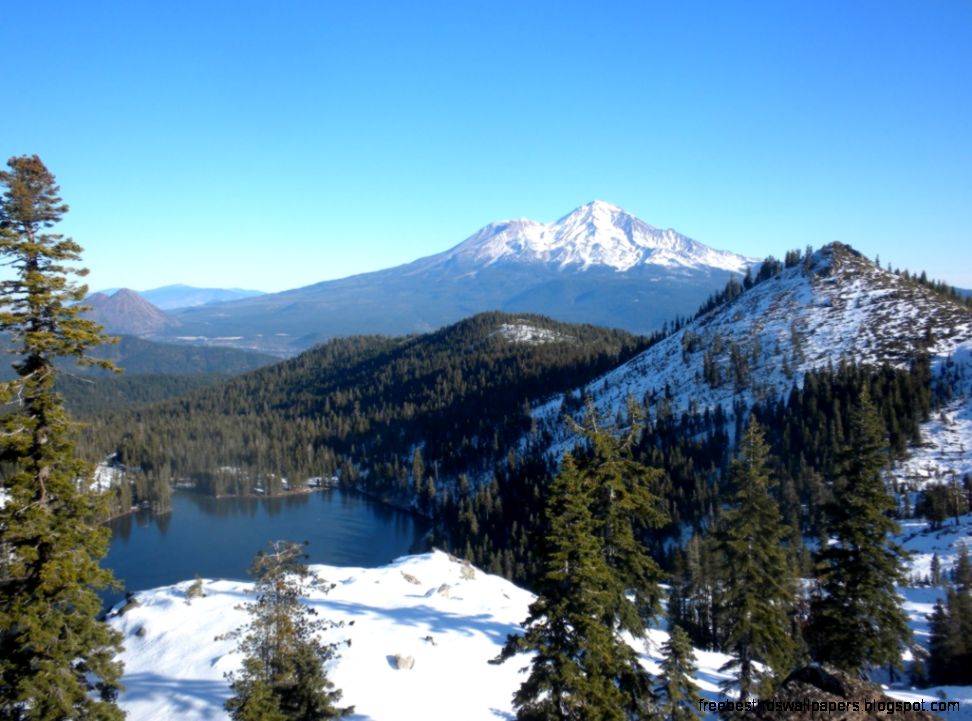 Whats Happening at Castle Lake… Whats Happening at Castle Lake…