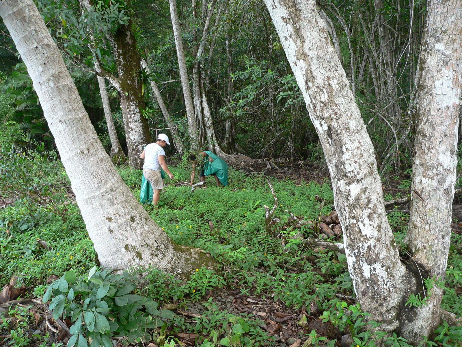 Ecological Blue Flag Program