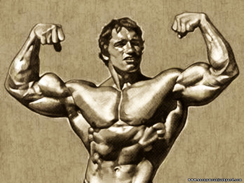 http://3.bp.blogspot.com/-b8Xd7ZJS0Q8/TkhGVAEXhUI/AAAAAAAAAYM/TobjQcMiC9A/s1600/Arnold+Schwarzenegger+Bodybuilding+Wallpaper-8.jpg