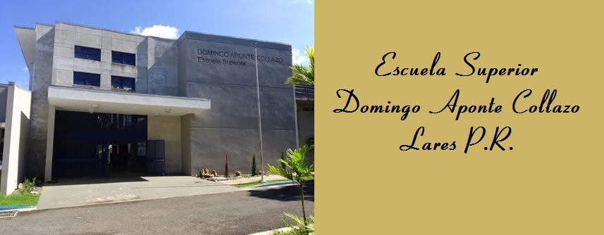 Escuela Superior Domingo Aponte Collazo, Lares P.R.