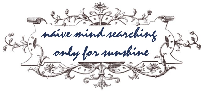 Naive Mind Searching Only for Sunshine