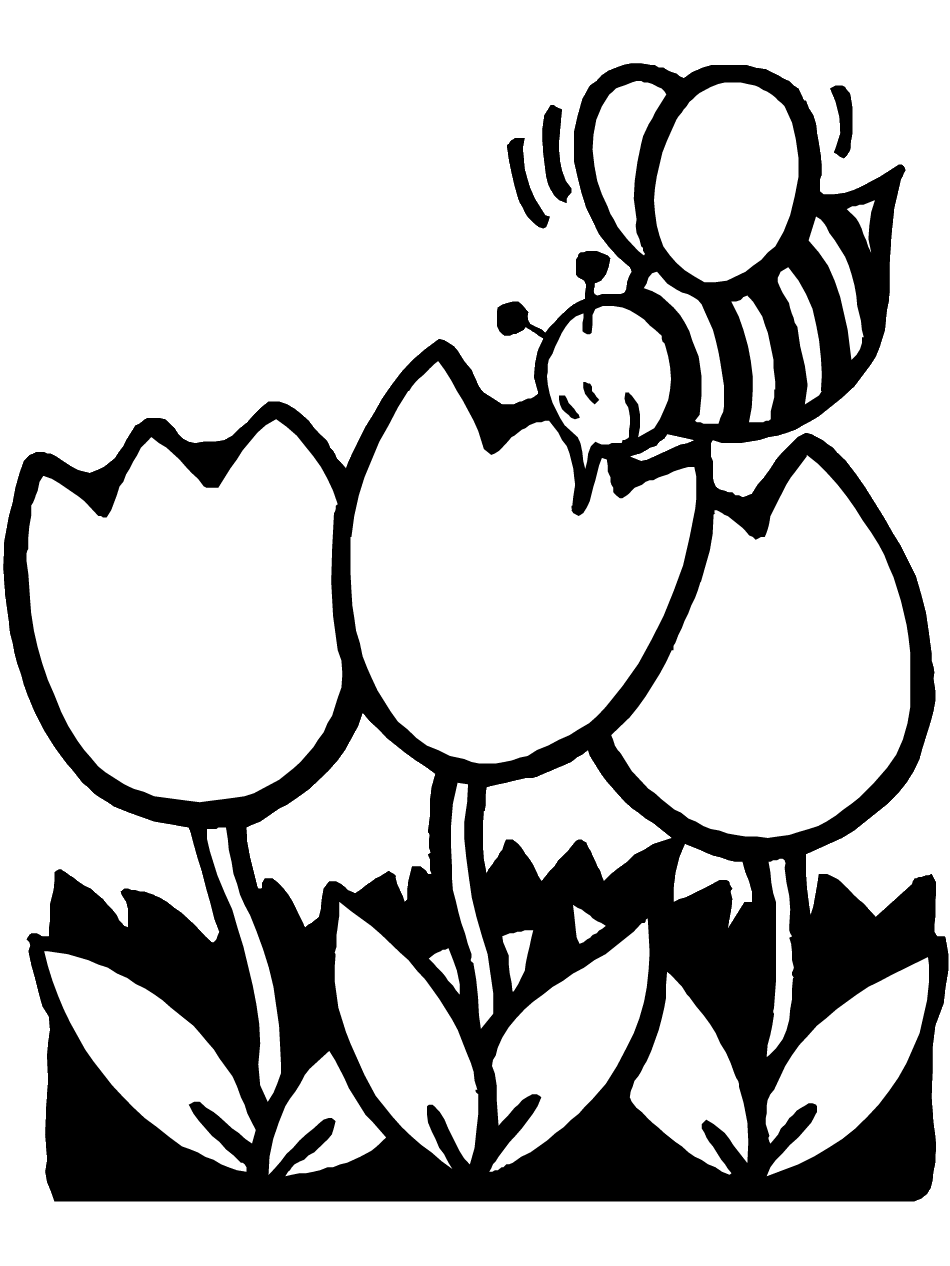 Coloring Pages: Spring Springtime Coloring Pages Free and Printable