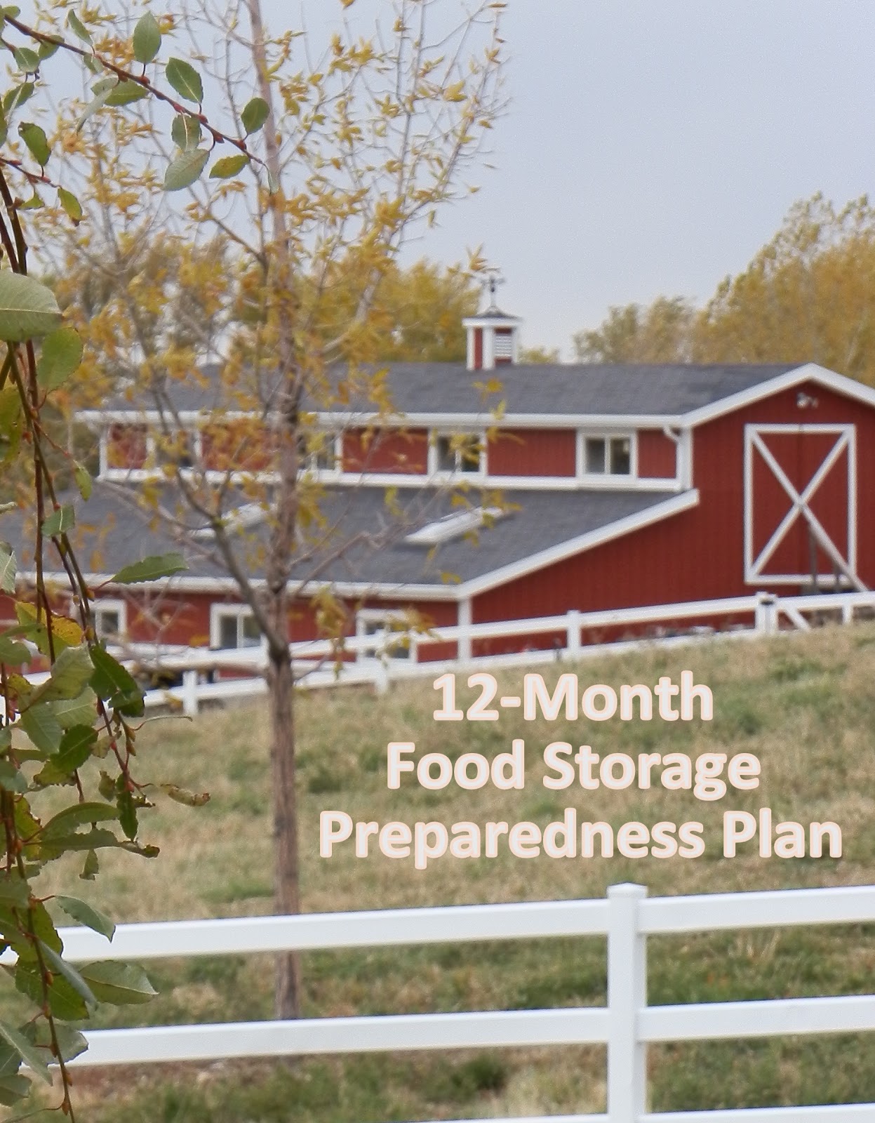 Prepared LDS Family 12Month Food Storage Preparedness Plan for 2013