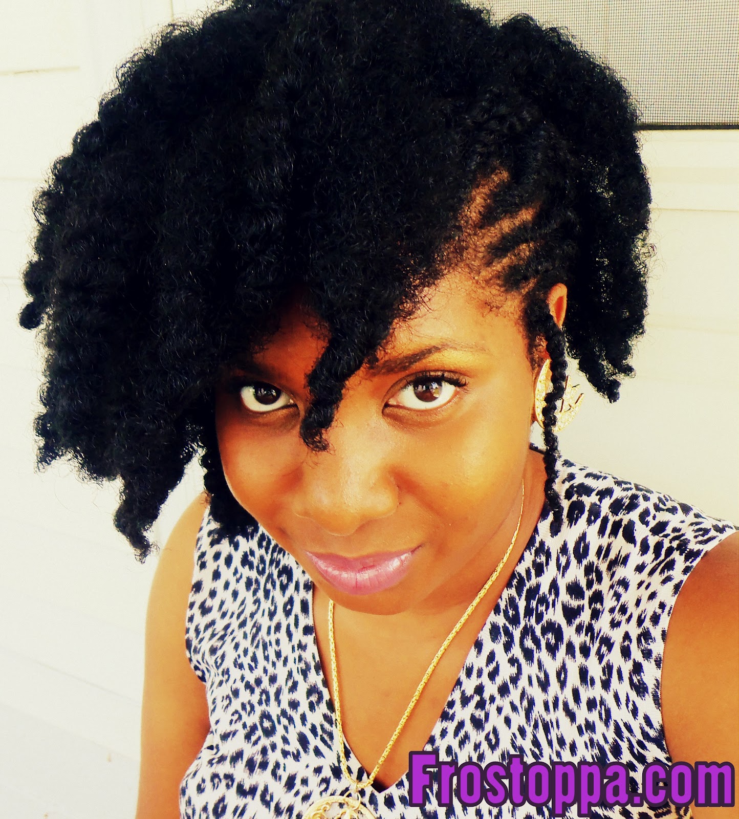 Frostoppa Ms Gg S Natural Hair Journey And Natural Hair Blog