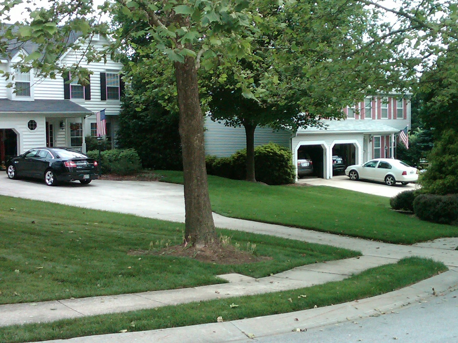Meadow Way Apartments Petoskey Mi Meadow Way Apartments Petoskey Mi