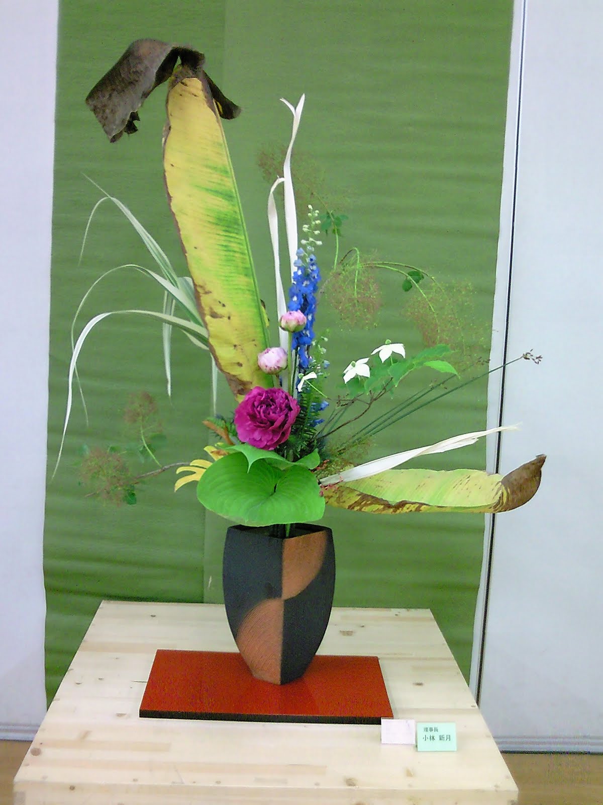 私の写真集 動画集 池坊宝生流 花歳時記 グーグルアドセントをクリックお願いします