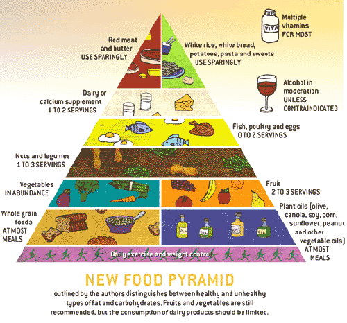 Pie Chart Food Pyramid