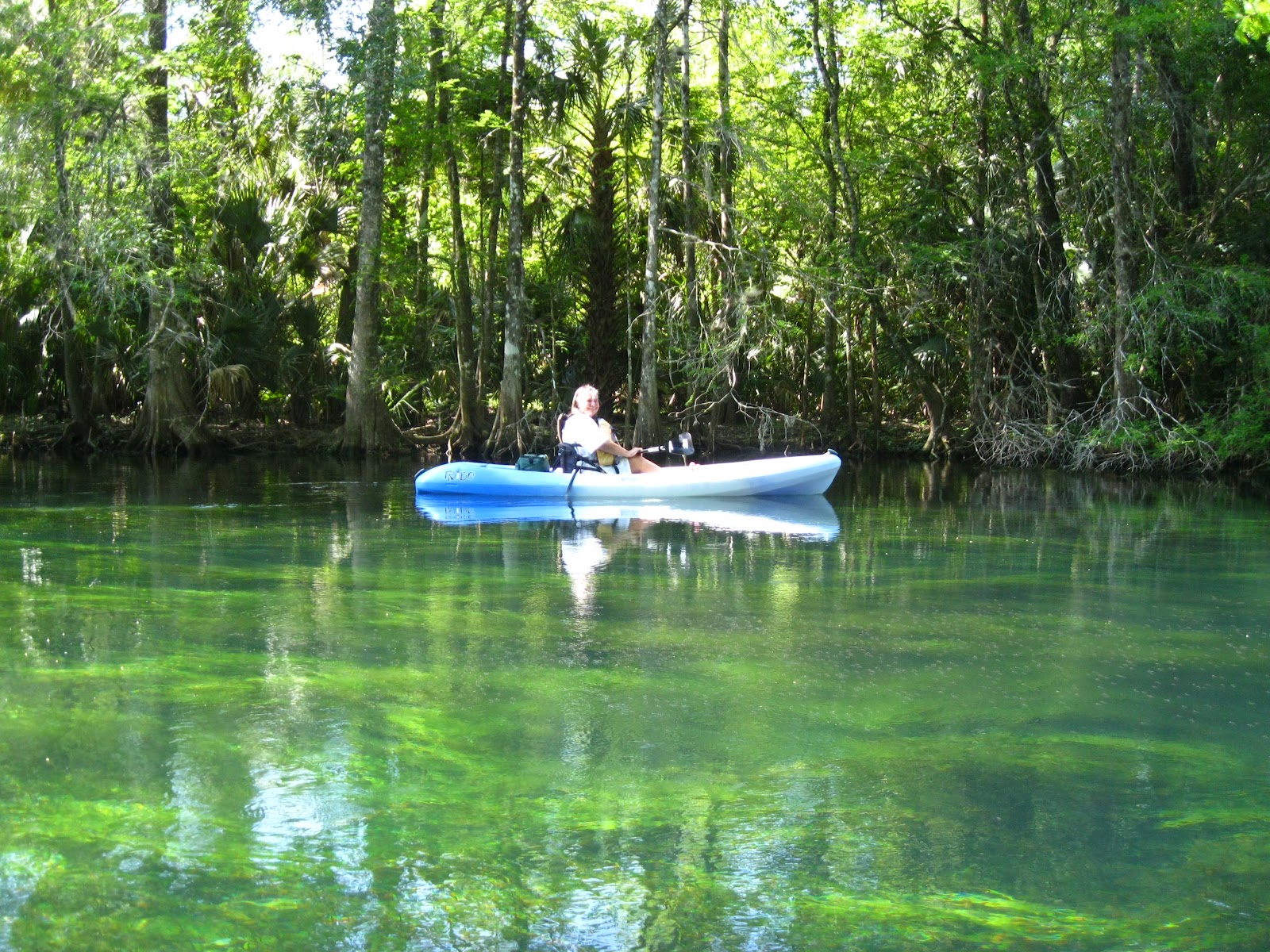 Central Florida Kayak Tours A day on the Silver River, Kayaking near