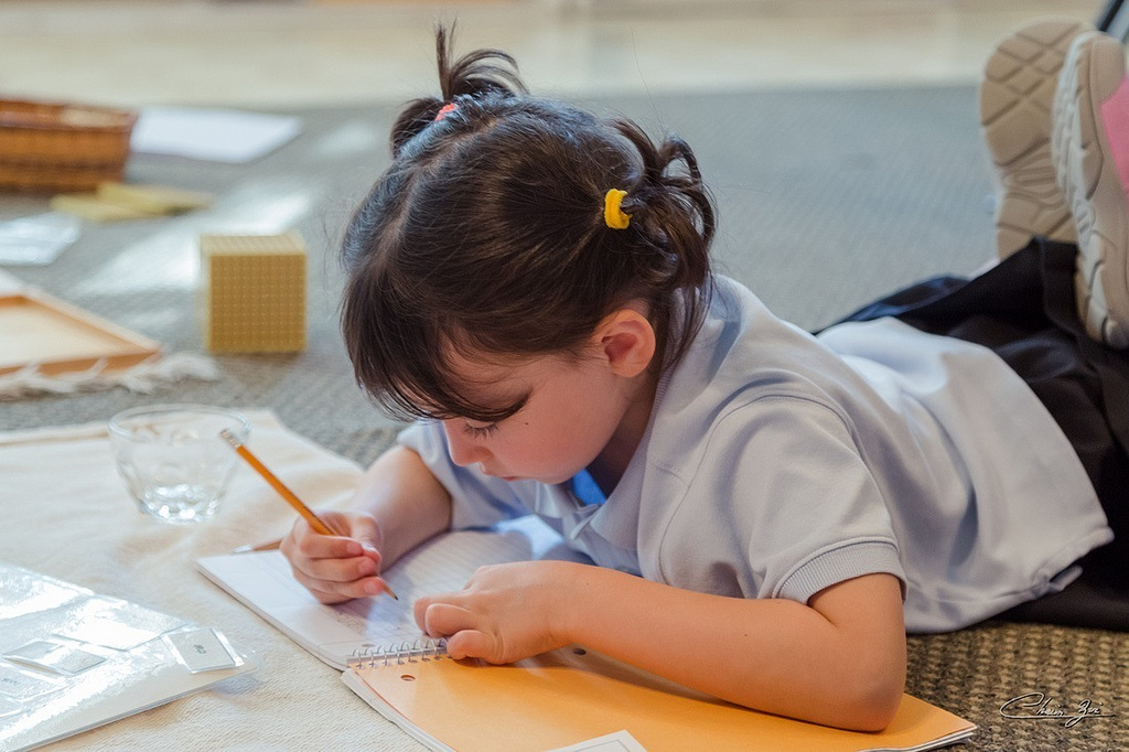 Write a note on the importance of handwork in montessori