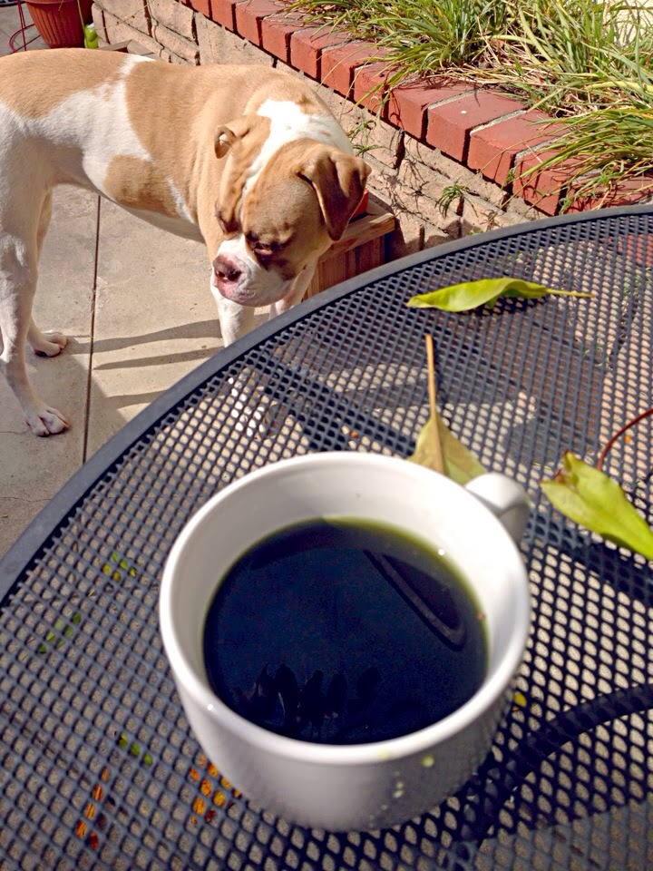 Interval Yoga by Ali Kamenova Green coffee brew for creative focus