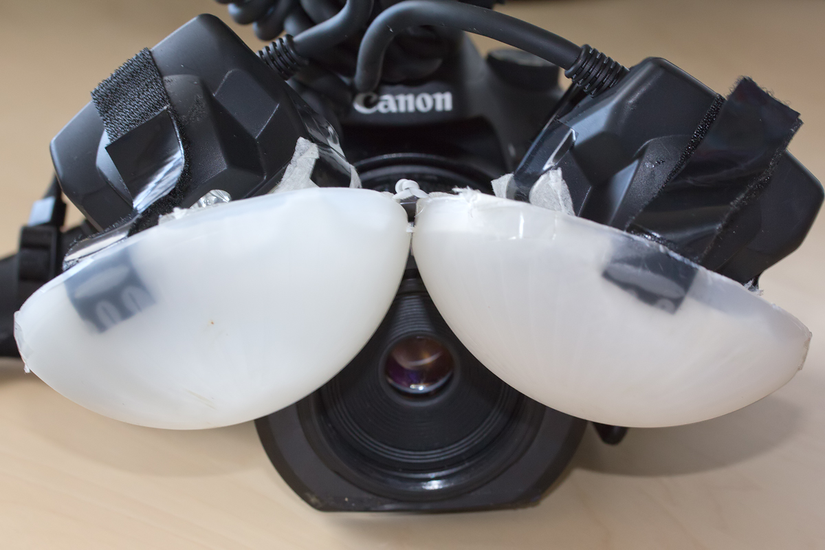 Matt Cole Macro Photography Macro Flash Diffusion