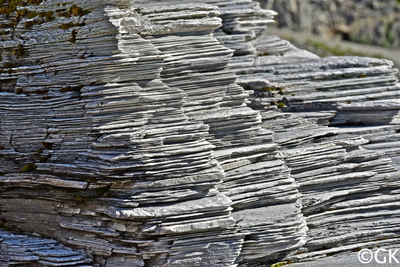 Plattformsedimente, entstanden in einem Flachmeer.