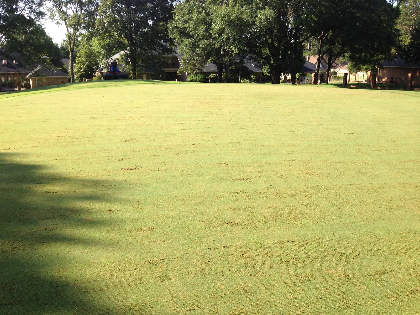 Hollytree Country Club Golf Course Maintenance Verticutting Greens