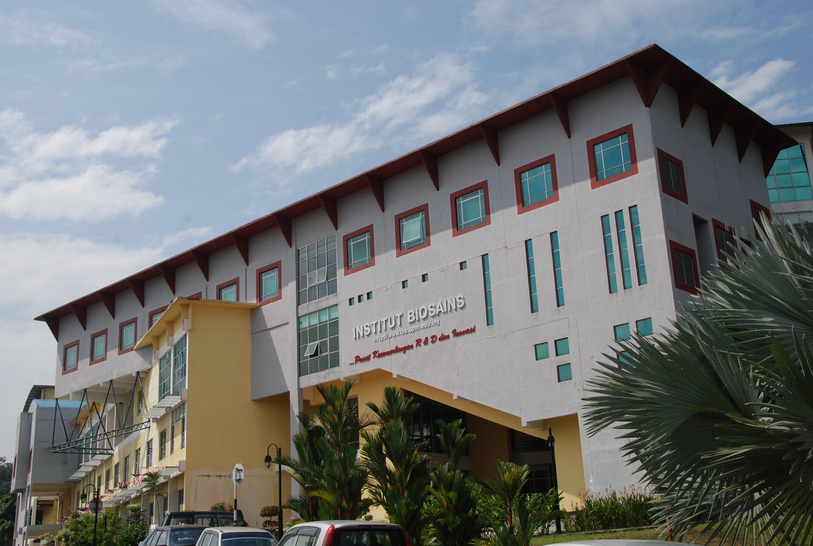 Kutil Di Kemaluan