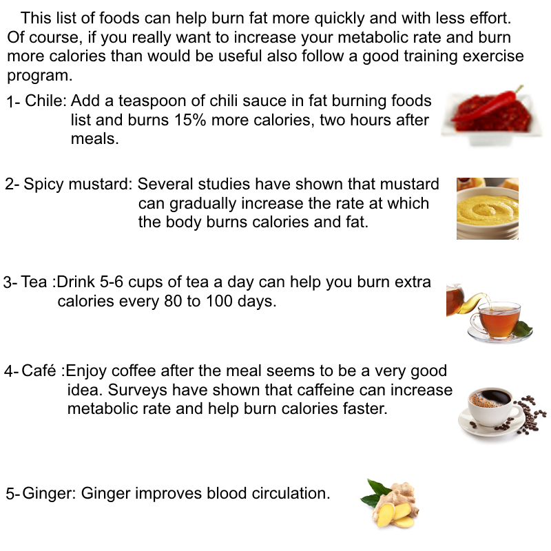 Fat Burning Foods List That You Really NEED ! Top4You