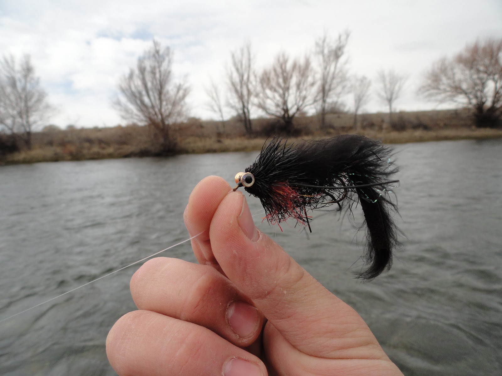 Excursiones de pesca con mosca Fly Fishing Trips Atado de Moscas