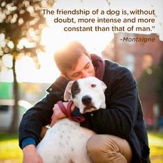 Dog Quotes Dog Quotes on Pinter est