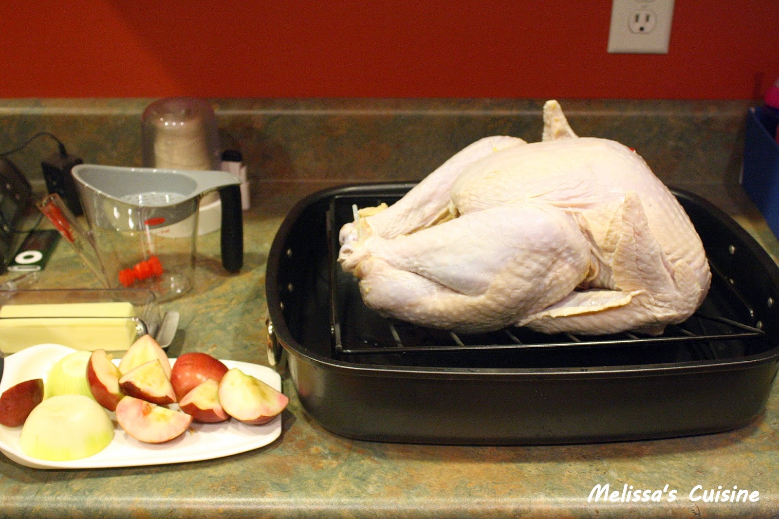 Melissa's Cuisine The Perfect Thanksgiving Turkey