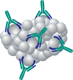 Beads on a String - Renal Fellow Network