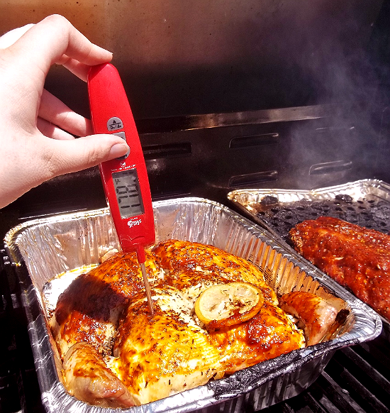 A Food Thermometer is Key to Food Safety – Eat Smart, Move More, Prevent  Diabetes
