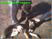 PATÁN ADOPTADO!!!!